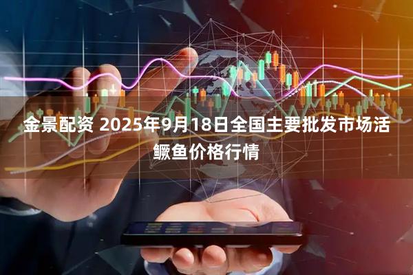 金景配资 2025年9月18日全国主要批发市场活鳜鱼价格行情