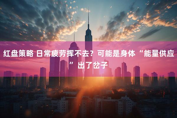 红盘策略 日常疲劳挥不去？可能是身体 “能量供应” 出了岔子
