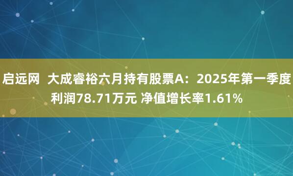 启远网  大成睿裕六月持有股票A：2025年第一季度利润78.71万元 净值增长率1.61%