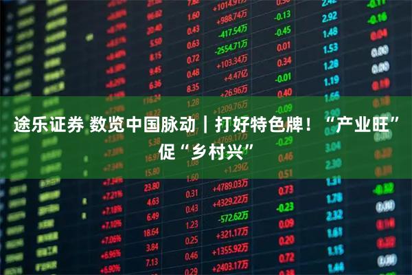 途乐证券 数览中国脉动｜打好特色牌！“产业旺”促“乡村兴”